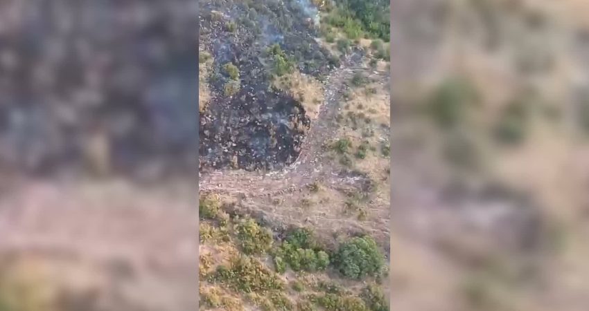 Sındırgı ilçesine bağlı Taşköy Mahallesi’nde orman dışı alanda başlayarak ormanlık
