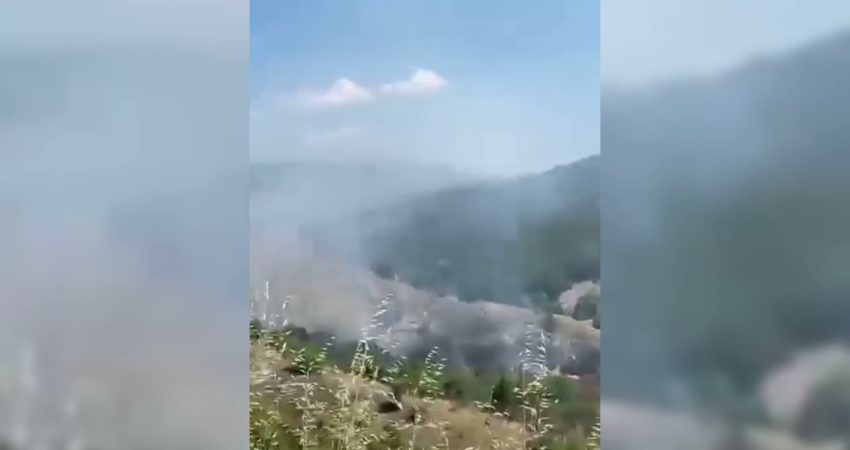 Sinop’un Boyabat ilçesine bağlı Akyörük Köyü’nün alt kısmında çıkan orman
