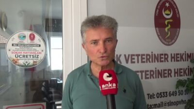 Sinop Veteriner Hekimleri Odası Başkanı Doğan Özdemir, Sinop Belediyesi ile