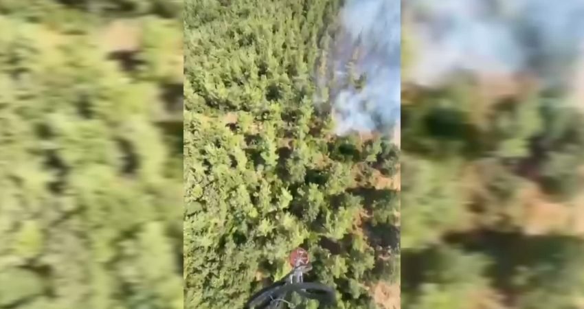 Balıkesir'in Susurluk ilçesi Yıldız Mahallesi'nde dün başlayan orman yangınını tamamen