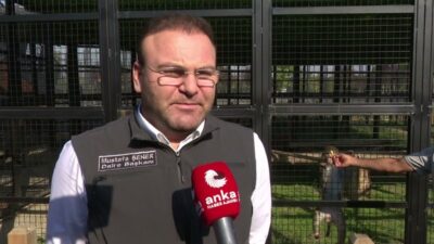 Yozgat'ta vatandaşlarca bulunan ve koruma altına alınan makak maymunu Bozok,