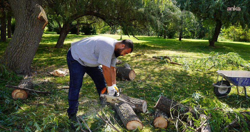Tepebaşı Belediyesi Park ve Bahçeler Müdürlüğü ekipleri, kent genelindeki yeşil