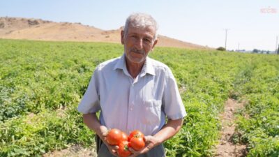 Tepebaşı Belediyesi’nin tarımsal üretimde hastalık ve zararlılarla mücadelede üreticilere yol