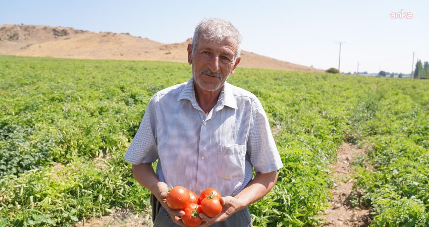 Tepebaşı Belediyesi’nin tarımsal üretimde hastalık ve zararlılarla mücadelede üreticilere yol