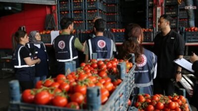 Diyarbakır Ticaret İl Müdürlüğü ekiplerince, temmuz ayında marketler, kafe ve