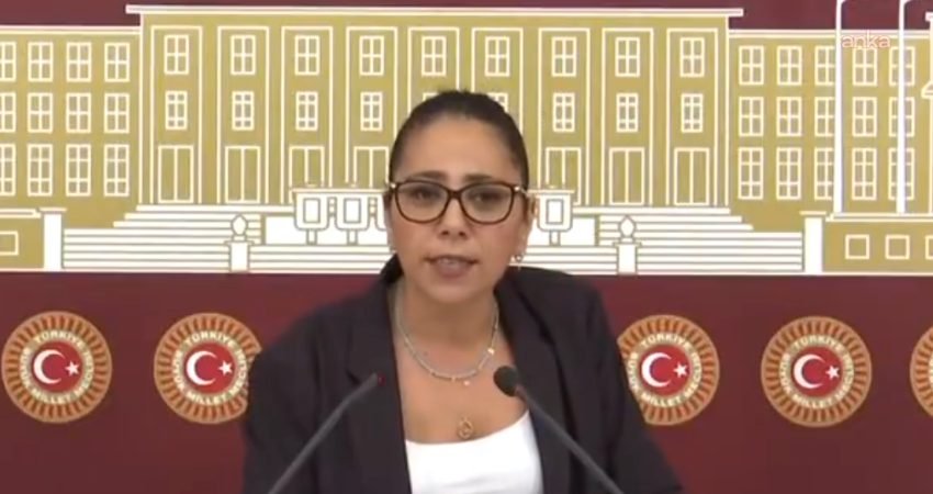 Ankara Cumhuriyet Başsavcılığı, Türkiye İşçi Partisi (TİP) İstanbul Milletvekili Saliha