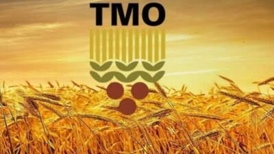 Toprak Mahsulleri Ofisi (TMO), 2026-2027 dönemi kabuklu fındık alım fiyatlarını