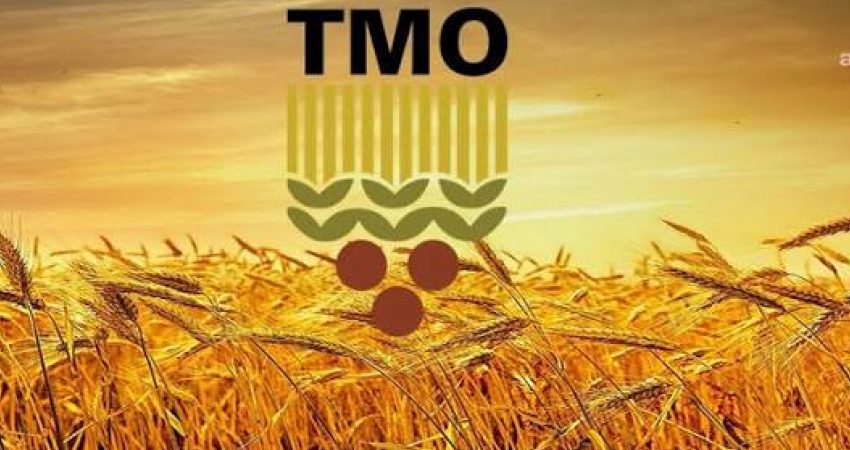 Toprak Mahsulleri Ofisi (TMO), 2026-2027 dönemi kabuklu fındık alım fiyatlarını