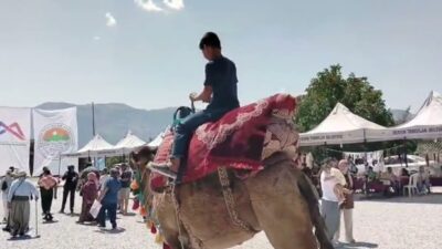 Mersin'in Toroslar ilçesindeki 1550 rakımlı Tırtar Yaylası, Kardeş Göçerler Yörük