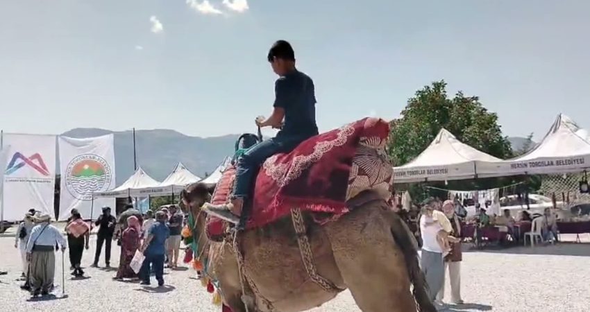 Mersin'in Toroslar ilçesindeki 1550 rakımlı Tırtar Yaylası, Kardeş Göçerler Yörük