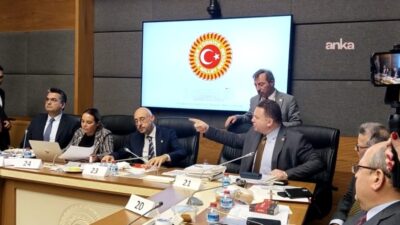 AK Parti Ankara Milletvekili Tuğrul Türkeş, "çerçeve yasa" teklifinin Anayasa