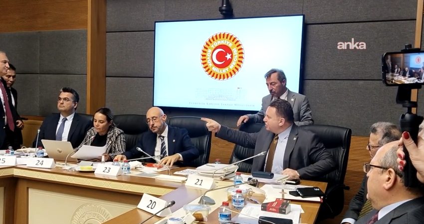 AK Parti Ankara Milletvekili Tuğrul Türkeş, "çerçeve yasa" teklifinin Anayasa
