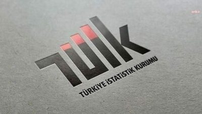 Türkiye İstatistik Kurumu'nun (TÜİK) 2025 yılı Yıllık Sanayi ve Hizmet