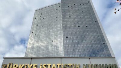 Türkiye İstatistik Kurumu (TÜİK), Haziran 2026 itibarıyla Tarımsal Girdi Fiyat
