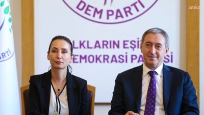 DEM Parti Eş Genel Başkanı Tülay Hatimoğulları, "Milli Dayanışma ve
