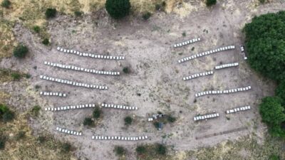 Tunceli’nin yüksek rakımlı yaylalarında arıcıların aylar süren emeğinin karşılığını aldığı