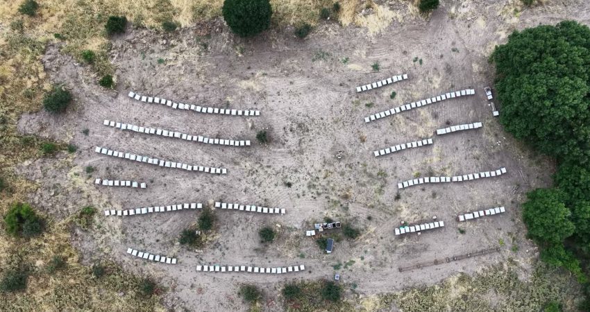 Tunceli’nin yüksek rakımlı yaylalarında arıcıların aylar süren emeğinin karşılığını aldığı