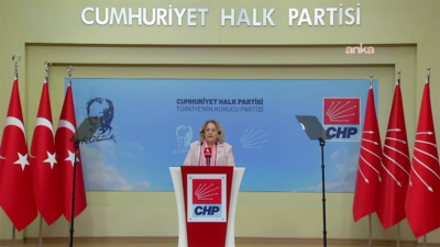 CHP Kadın Kolları Genel Başkanı Ayten Gülsever, TÜİK'in 2025 yılı