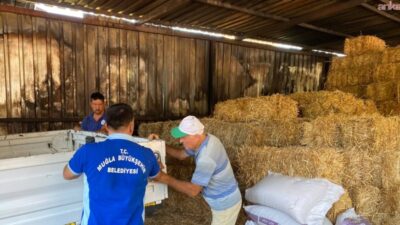 Muğla Büyükşehir Belediyesi, Ula’nın Portakallık Mahallesi’nde çıkan ahır yangınında bin