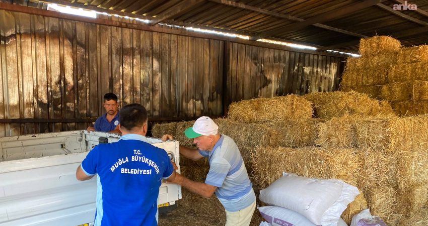 Muğla Büyükşehir Belediyesi, Ula’nın Portakallık Mahallesi’nde çıkan ahır yangınında bin