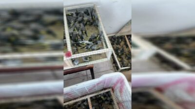 Doğa Koruma ve Milli Parklar Genel Müdürlüğü'nden yapılan açıklamada, yasa