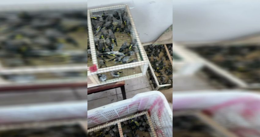 Doğa Koruma ve Milli Parklar Genel Müdürlüğü'nden yapılan açıklamada, yasa