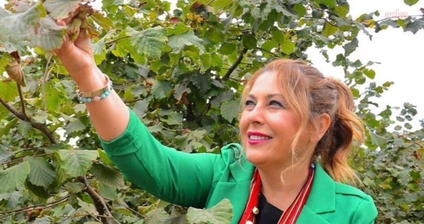 YENİ Parti Giresun Milletvekili Elvan Işık Gezmiş, fındık üreticisinin serbest