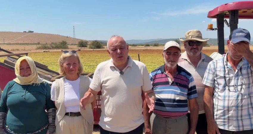 YENİ Parti Manisa Milletvekili Ahmet Vehbi Bakırlıoğlu, üzüm sergilerinde üreticilerle