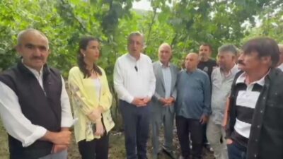 YENİ Parti Samsun Milletvekili Murat Çan, Samsun'un Ayvacık ilçesinde fındık üreticileriyle