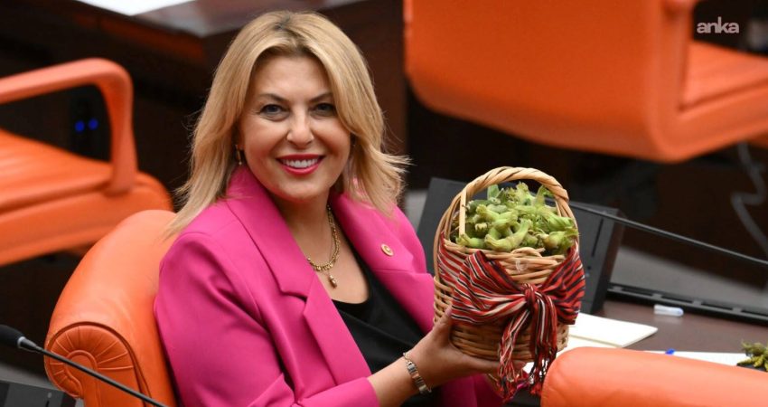 YENİ Parti Giresun Milletvekili ve Parti Meclisi Üyesi Elvan Işık