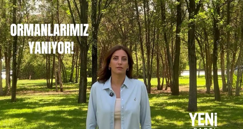 YENİ Parti İstanbul Milletvekili Evrim Rızvanoğlu, orman yangınları devam ederken