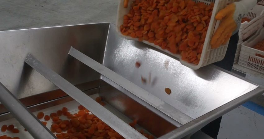 Yeşilyurt Ziraat Odası Başkanı Doğan Solmaz, Malatya kuru kayısısının dünya