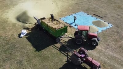 Yozgat’ta bu yıl mercimek üretim rekoltesi ve kalitesi yüksek olmasına