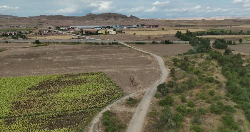 Yozgat Genç Sanayici ve İşadamları Derneği (YOGSİD) Başkanı Ayhan Çelik, Ticaret