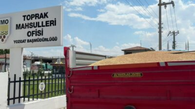 Yozgat’ta yaklaşık 2 milyon 985 bin dekar alanda buğday, 656