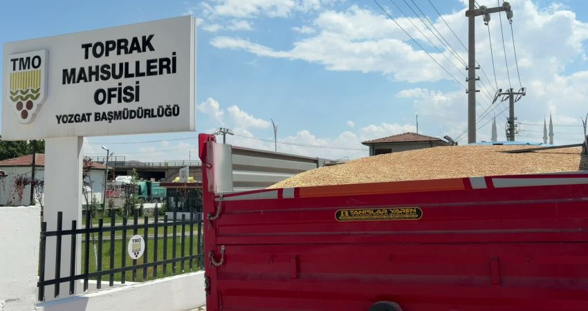 Yozgat’ta yaklaşık 2 milyon 985 bin dekar alanda buğday, 656