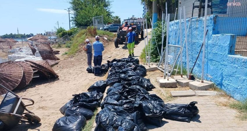Yumurtalık Belediyesi, ilçe genelinde temizlik ve bakım çalışmalarını aralıksız sürdürürken,
