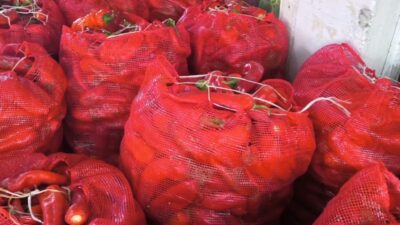 Osmaniye'nin Kadirli ilçesinde salçalık biber alan vatandaşlar, geçen yıla göre