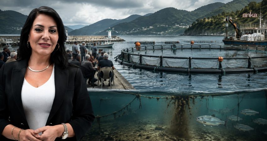 Zafer Partili Aslan’dan Balıkçı Köyü’ndeki direnişe destek: “Balıkçı Köyü yalnız değildir” Zafer Partili Esmaül Hüsna Aslan, Rize’nin Pazar ilçesine bağlı Balıkçı Köyü’nde