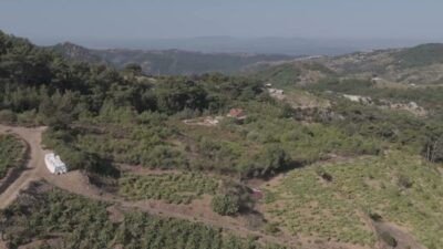 Karabağlar Belediyesi tarafından Kavacık’ın tarımsal ve kültürel değerlerini tanıtmak amacıyla düzenlenen Kavacık Üzüm Festivali,