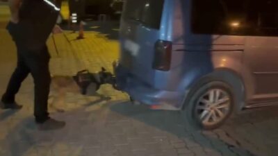 İçişleri Bakanlığı, 71 ilde son 10 günde düzenlenen uyuşturucu operasyonlarında