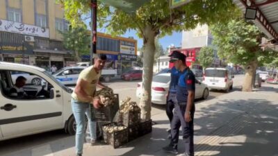 Adıyaman Belediyesi Zabıta Müdürlüğü ekipleri, kaldırımların yayalar tarafından güvenli ve