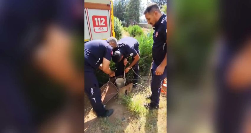 Adıyaman’da bir sitenin bahçesindeki kuyuya düşerek mahsur kalan yavru kedi,