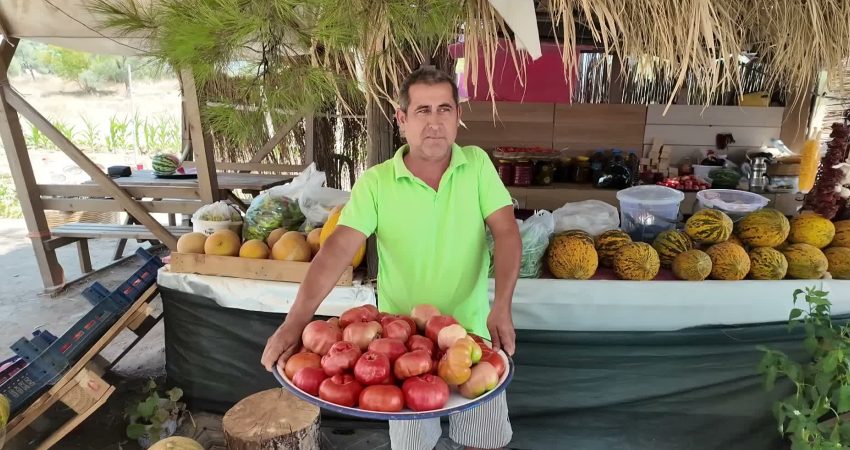 Akbelen’de köylüler, sabahın erken saatlerinde kendi bahçelerinden topladıkları doğal meyve