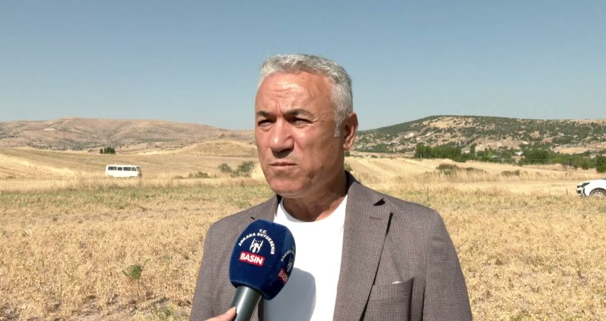 Ankara Büyükşehir Belediyesi, yüzde 50 hibeli sertifikalı nohut tohumu desteğine