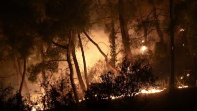 Antalya Büyükşehir Belediyesi ekipleri, Aksu ilçesinde çıkan orman yangınından etkilenen