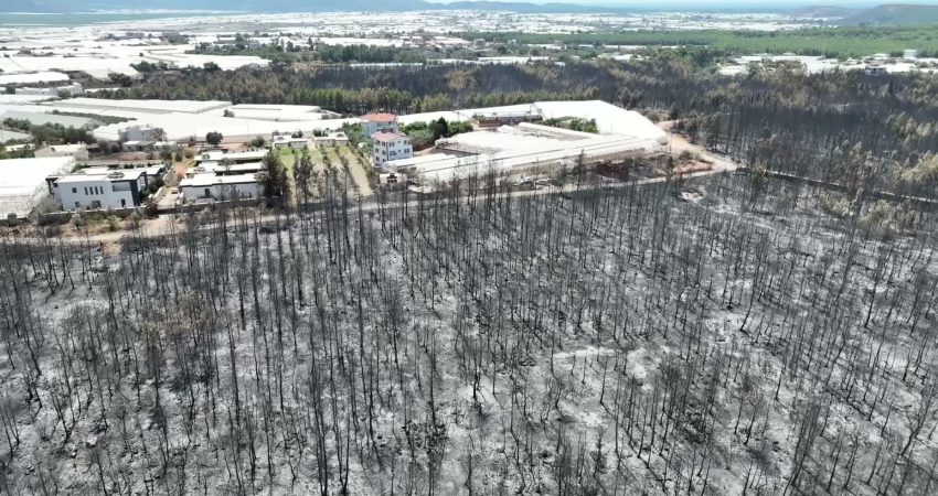 Antalya Büyükşehir Belediyesi Sosyal Hizmetler Dairesi Başkanlığı bünyesinde görev yapan