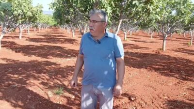 Aydın'ın Karacasu ilçesine bağlı Yaykın Mahallesi'nde yol yapım çalışmaları sırasında