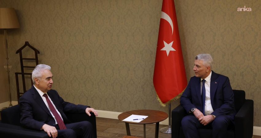 Ticaret Bakanı Ömer Bolat, Uluslararası Enerji Ajansı (IEA) İcra Direktörü