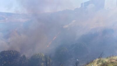 Balıkesir’in Bandırma ilçesi Levent Mahallesi’nde sarp arazide çıkan yangın, itfaiye